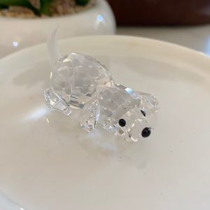 Beagle playing- frosted tail